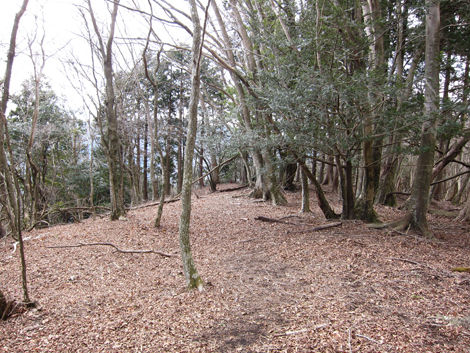 20190205hike (224)